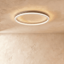 Dayira Ceiling Light