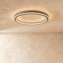 Dayira Ceiling Light
