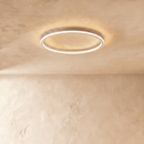 Dayira Ceiling Light