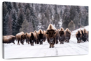 Bison Herd In Winter Wall Art