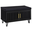 Brixton 2-door Padded Entryway Shoe Storage Bench Black