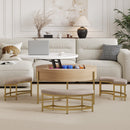 Modern Round Lift-Top Coffee Table with Storage & 3 Ottoman White & Natural