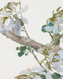 Spring Garden II