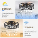 Caged Ceiling Fan 20 Inch Matte Black Remote Control