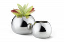 Bella Vases: S