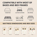 Queen Memory Foam Mattress 12Inch Midnight Black Edition