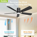 52 Inch Black Walnut DC Motor Ceiling Fan With Light Remote