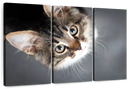 A Cat Wall Art
