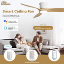 52 Inch Smart Ceiling Fan With Lights Remote App Control