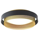 Modern black & gold led ceiling lamp for home office