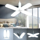DecorBites™ 60W LED Ceiling Fan Light for Kitchen & Home Decor