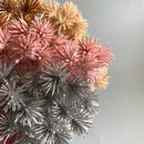 DecorBites™ 6pcs Dried Flower Mix for Jewelry Making & Aromatherapy Candle Crafts