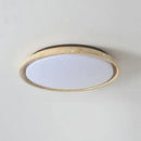 DecorBites™ Acryl Travertine LED Ceiling Lights - Modern Natural Stone Ceiling Lamp