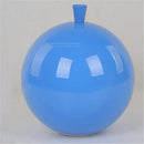 DecorBites™ Acrylic Balloon Ceiling Lights: Modern Nordic Living Room Bedroom Decor Light