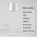 DecorBites™ Acrylic Crystal Art LED Table Lamp - Rechargeable Cordless Design