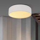 DecorBites™ Aluminum LED Ceiling Lamp - Minimalist Design for Dinning, Living Room, Bedroom, Office