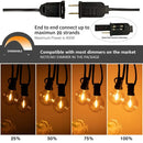 DecorBites™ Amber Glass Bulb Dimmable LED String Lights Connectable for Party Wedding Decor