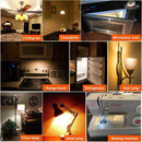 DecorBites™ Amber Glass Dimmable LED Filament Bulb E12 E14 Base T22G 1W 2200K