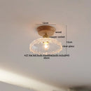 DecorBites™ Amber Glass LED Ceiling Lights Modern Decoration for Home Porch Restaurant