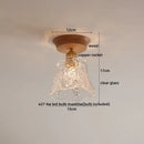 DecorBites™ Amber Glass LED Ceiling Lights Modern Decoration for Home Porch Restaurant