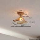 DecorBites™ Amber Glass LED Ceiling Lights Modern Decoration for Home Porch Restaurant