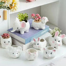 DecorBites™ Animal Cartoon Ceramic Flowerpot for Nursery Planting - Cute Rabbit Elephant Sheep Octopus