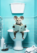 Humorous framed animal posters set bathroom wall decor
