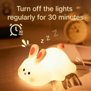 DecorBites™ Animal Silicone Night Light USB Rechargeable Timer Baby Kids Bedside Lamp