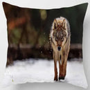Decorbites animals world tiger lion pillow case living room set
