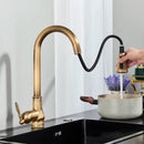 DecorBites™ Antique Brass Kitchen Faucet Pull Out Single Handle Mixer Tap 360 Rotation