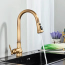 DecorBites™ Antique Brass Kitchen Faucet with Pull Down Spout and Single Handle