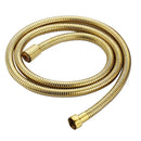 DecorBites™ Antique Gold Handheld Shower Head with Holder and Plumbing Hose