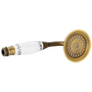 DecorBites™ Antique Gold Handheld Shower Head with Holder and Plumbing Hose