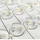 DecorBites™ Apple Shape LED Ceiling Chandelier for Bedroom, Kitchen & Dining Room