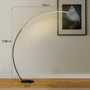 Modern black rgb arc floor lamp for living room led lighting
