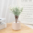 DecorBites™ Artificial Gypsophila Plants for Home Decor, Garden, Wedding - Set of 12