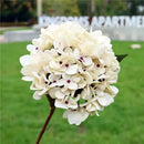 DecorBites™ Artificial Hydrangea Wedding Flowers Wall Home Decoration Indoor Bonsai Bouquet Background