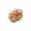 DecorBites™ Artificial Plant Wedding Christmas Decor Fake Flowers Home Interior DIY Gift