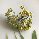 DecorBites™ Artificial Plants DIY Garland Craft Decoration Adornment Dried Plants 5g
