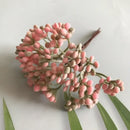 DecorBites™ Artificial Plants DIY Garland Craft Decoration Adornment Dried Plants 5g