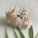 DecorBites™ Artificial Plants DIY Garland Craft Decoration Adornment Dried Plants 5g