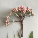 DecorBites™ Artificial Plants DIY Garland Craft Decoration Adornment Dried Plants 5g
