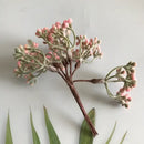DecorBites™ Artificial Plants DIY Garland Craft Decoration Adornment Dried Plants 5g