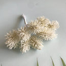 Colorful pom-pom artificial plants set of 6 wedding decor