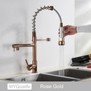 Decorbites black brass kitchen faucet with dual spout and pull down spray