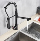 Decorbites black brass kitchen faucet with dual spout and pull down spray