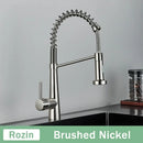 DecorBites™ Black Gold Kitchen Faucet with Pull Down Sprayer