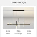 DecorBites™ Black Gold Pendant Lamp | Modern Indoor Light for Dining Room & Kitchen