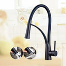 DecorBites™ Black Hose Kitchen Mixer Tap with Single Handle Stream Sprayer, Chrome Finish