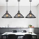 DecorBites™ Black Iron Net-Cage Pendant Light Fixture for Kitchen, Bedroom, Living Room, Restaurant